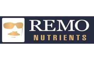 Remo-Logo-300x89