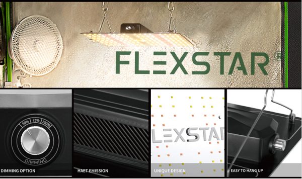 20210617141837111-600×356