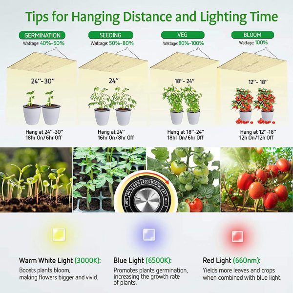 2021061714183716-600×600