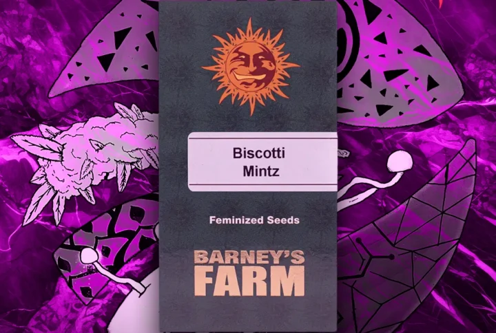 Barney's Farm - Biscotti Mintz