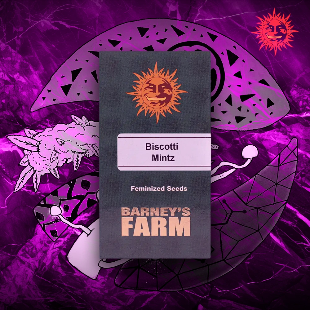 Barney’s Farm – Biscotti Mintz