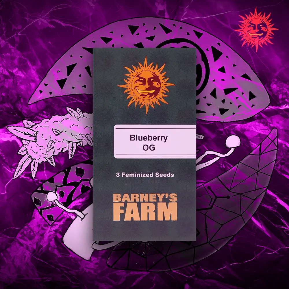 Barney’s Farm – Blueberry OG