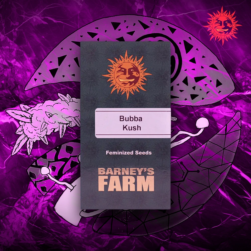 Barney’s Farm – Bubba Kush