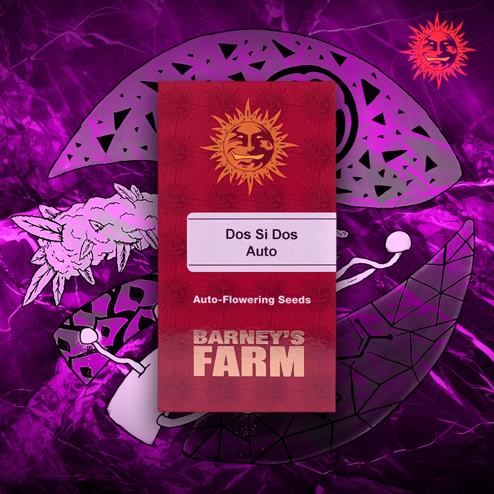 Barney’s Farm – Dos Si Dos Auto