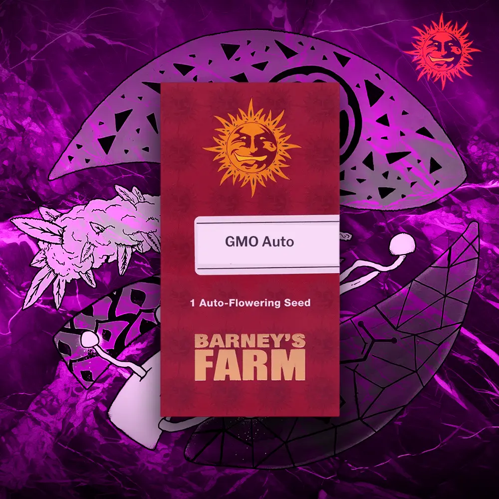 Barney’s Farm – GMO Auto