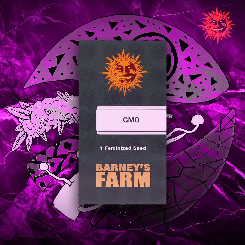 Barney’s Farm – GMO