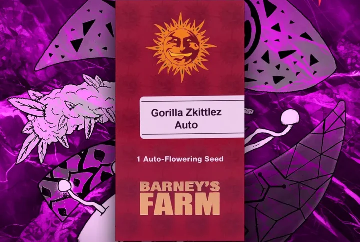 Barney's Farm - Gorilla Zkittlez Auto