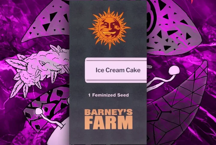 Barney's Farm - Ice Cream Cake