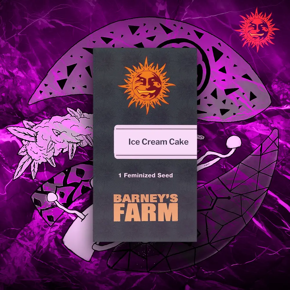Barney’s Farm – Ice Cream Cake
