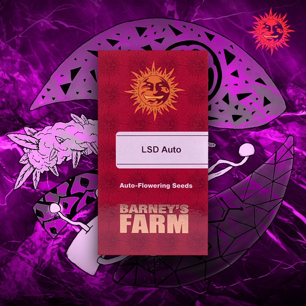 Barney’s Farm – LSD Auto