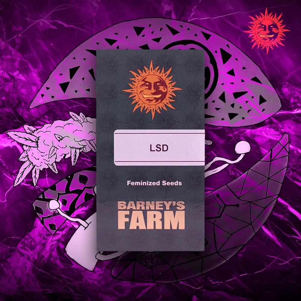 Barney’s Farm – LSD