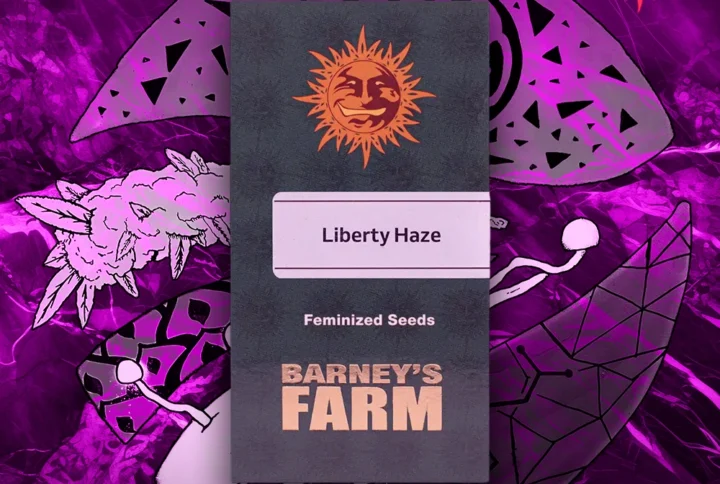 Barney's Farm - Liberty Haze