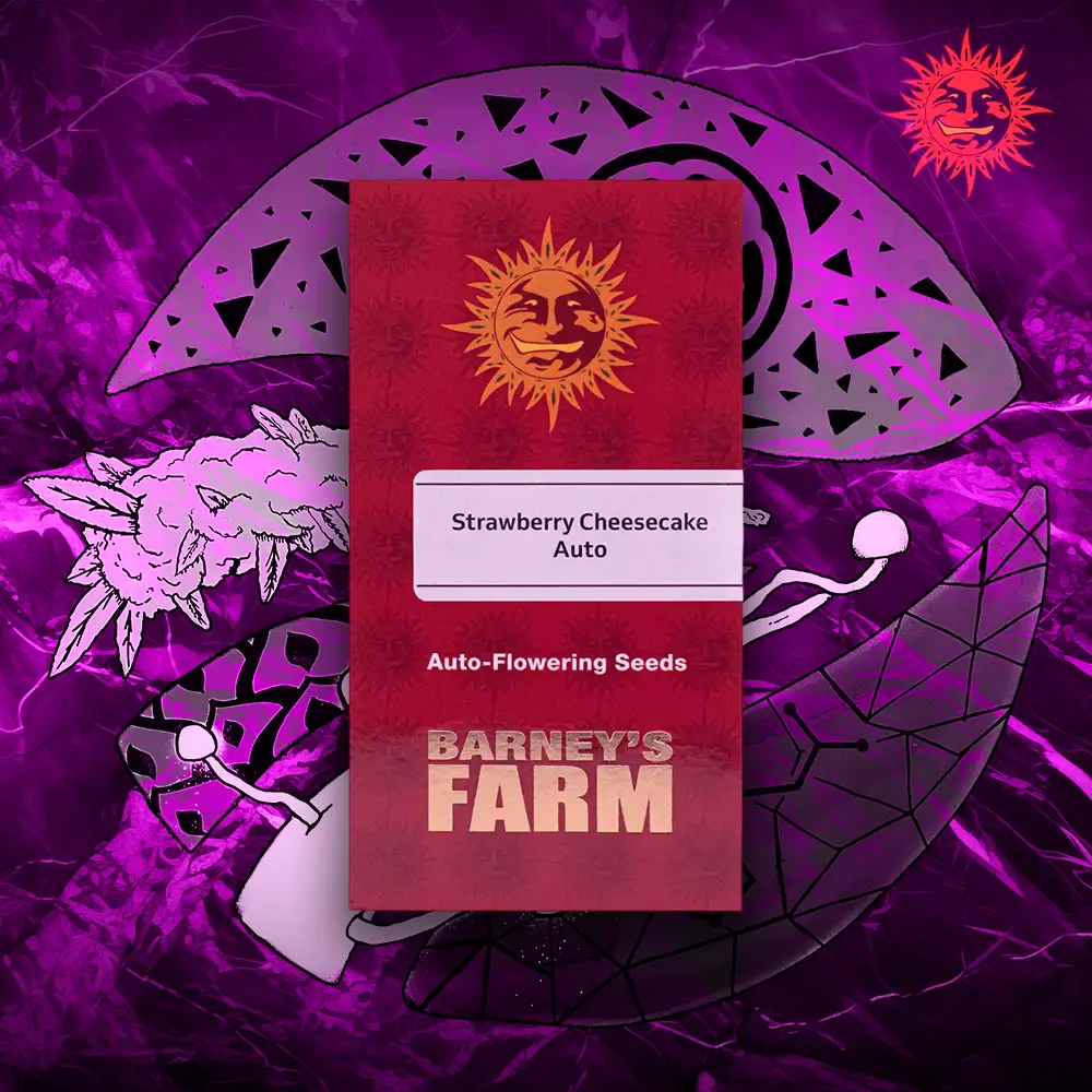 Barney’s Farm – Strawberry Cheesecake Auto