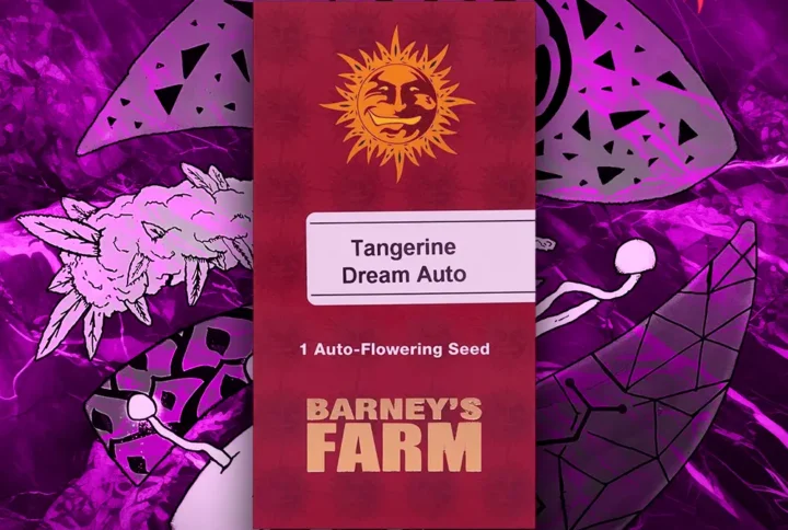Barney's Farm - Tangerine Dream Auto