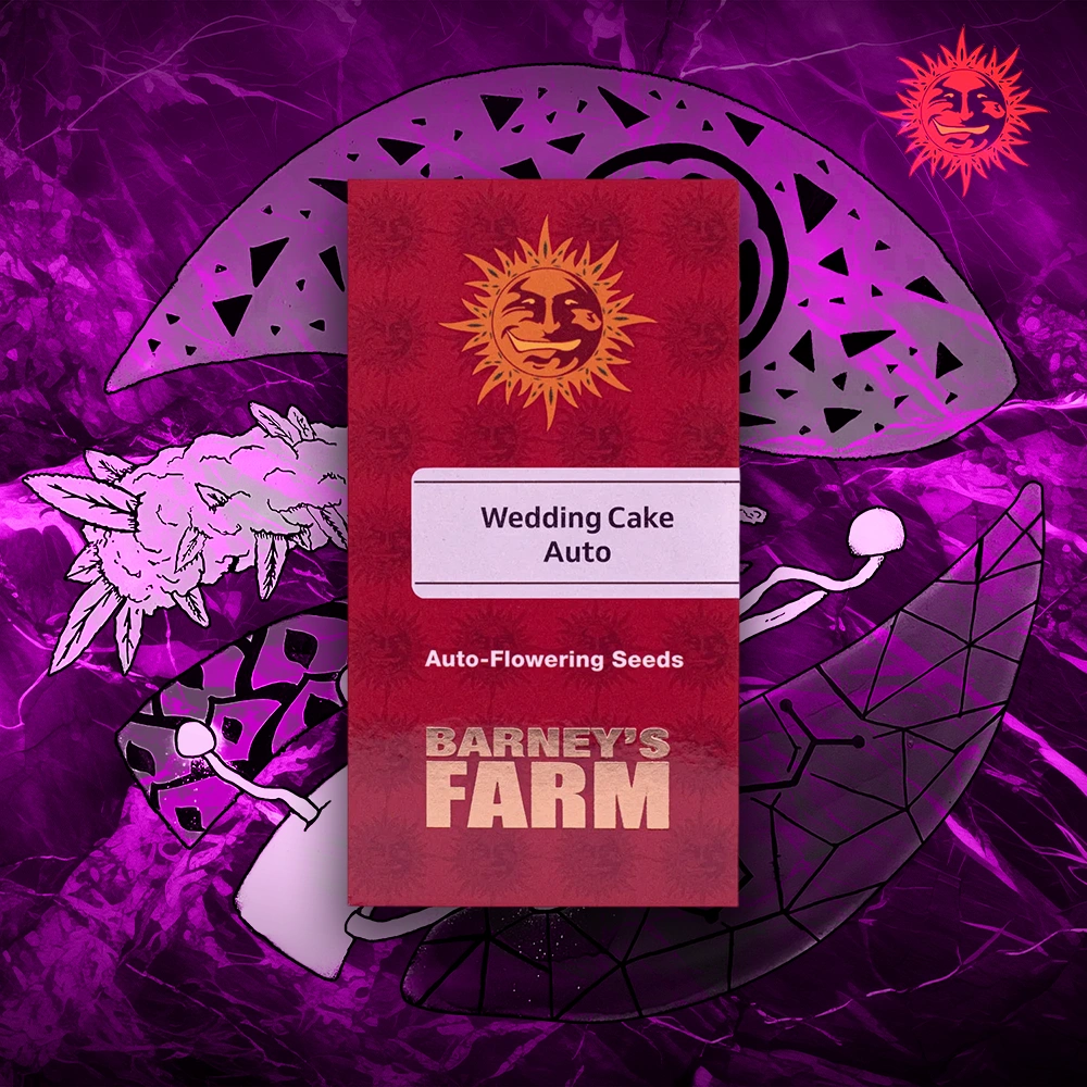 Barney’s Farm – Wedding Cake Auto