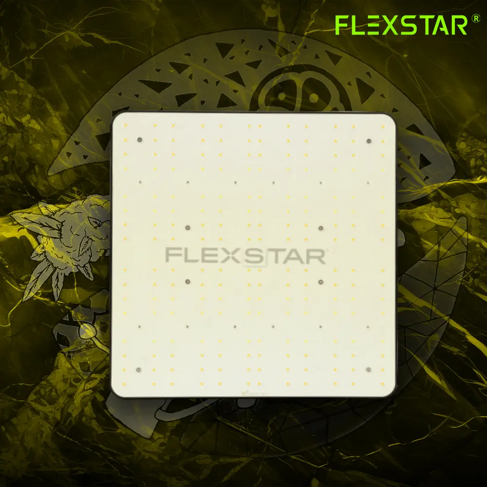 FlexStar 120w 2