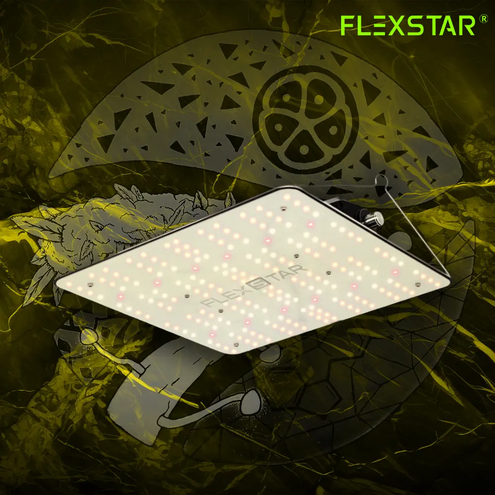 FlexStar 120w
