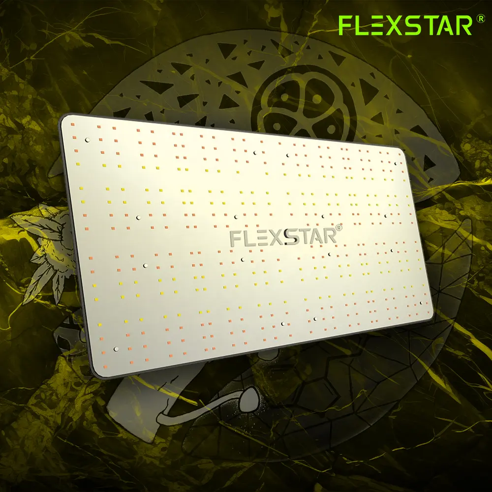 FlexStar 240w 2