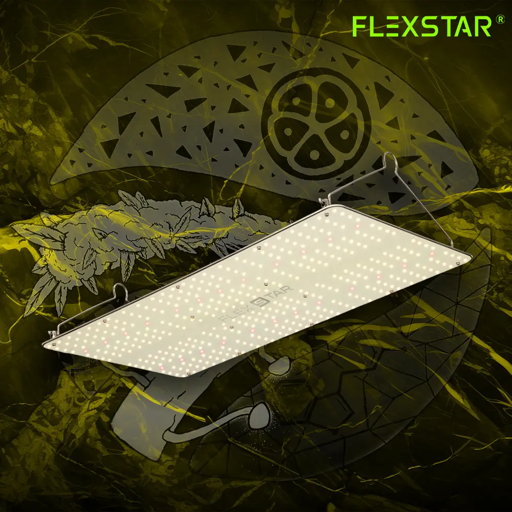 FlexStar 240w