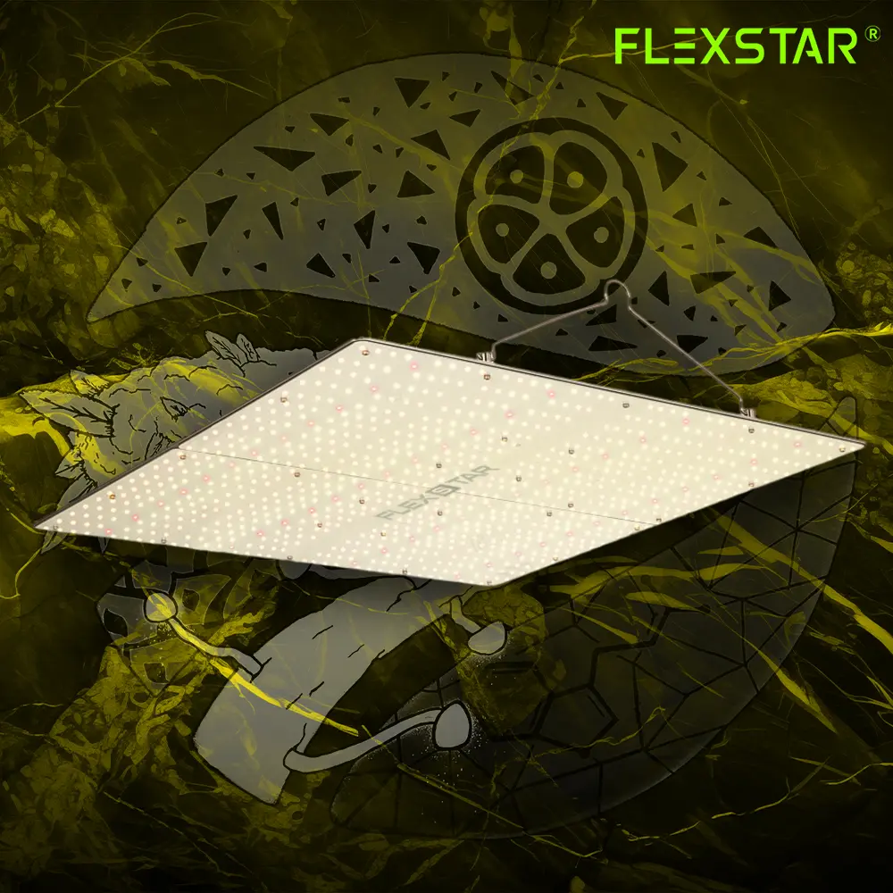 FlexStar 480w