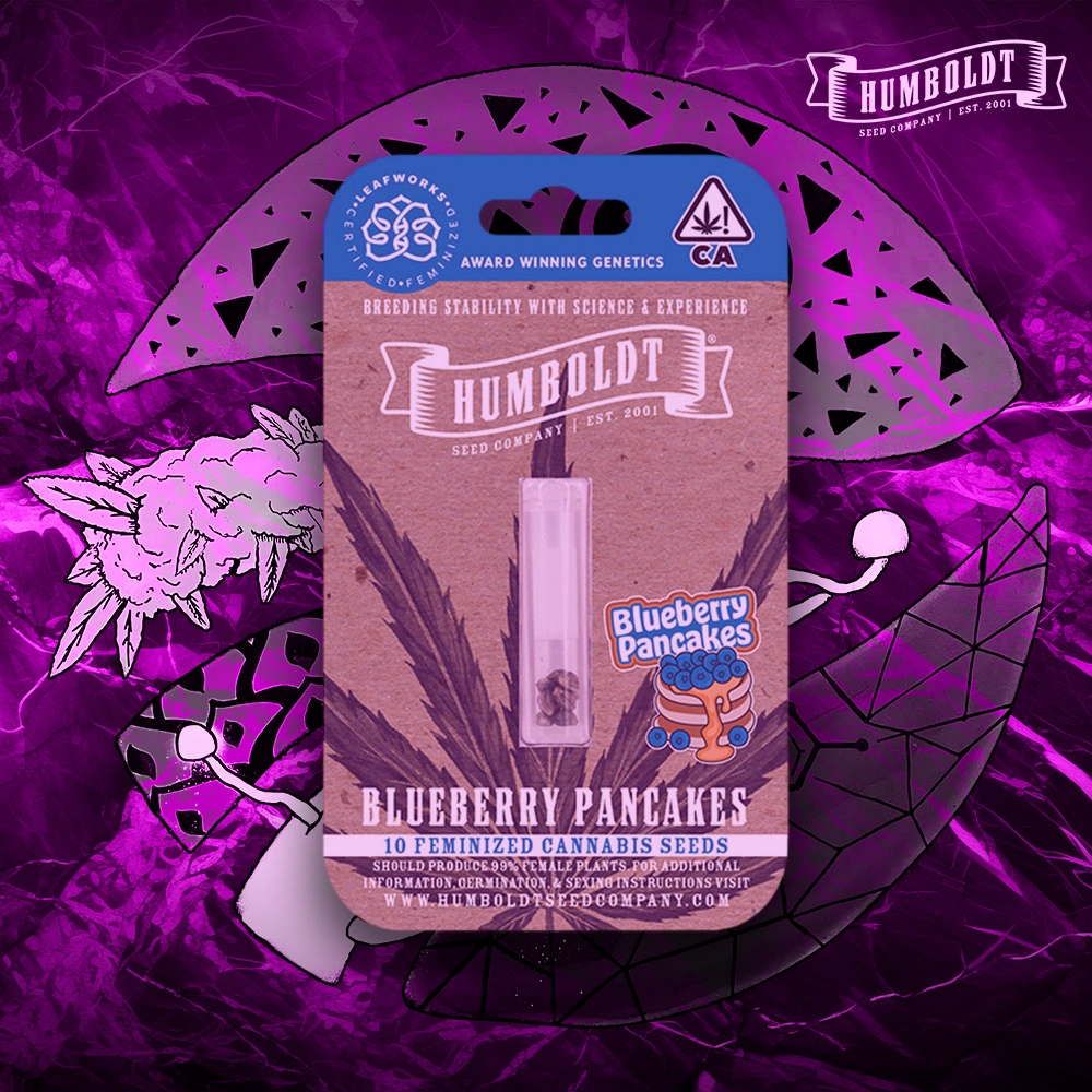 Humboldt Seed Company – Blueberry Pancakes