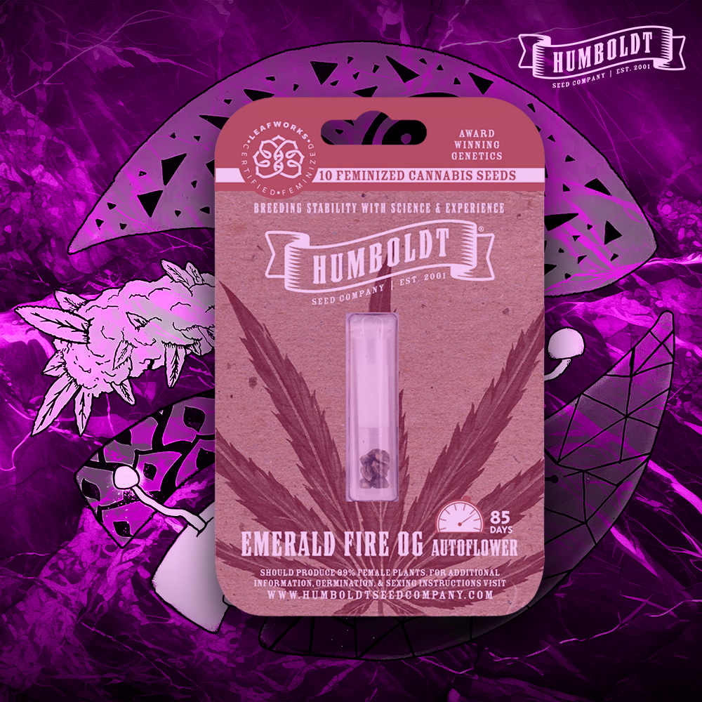 Humboldt Seed Company – Emerald Fire OG Auto