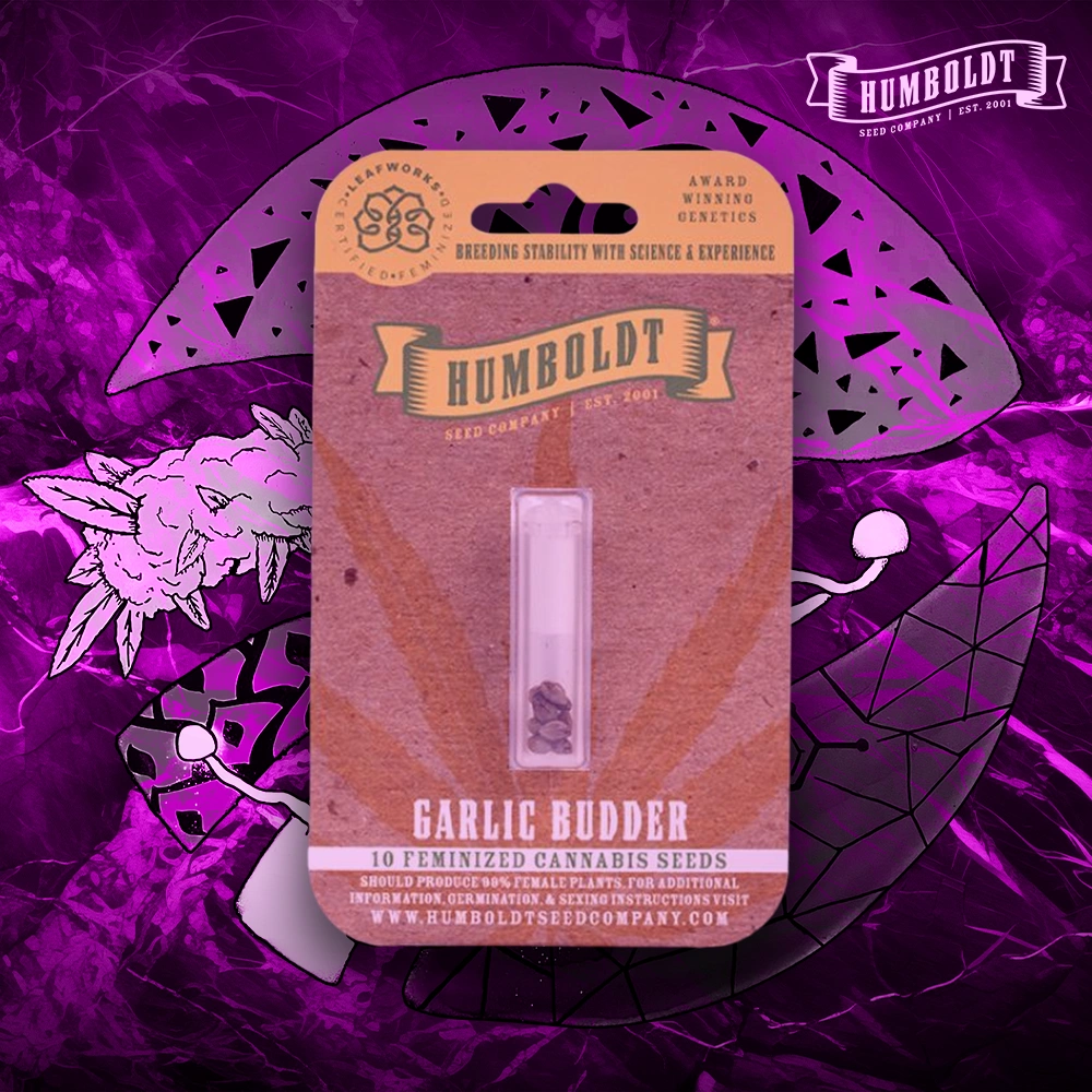 Humboldt Seed Company – Garlic Budder