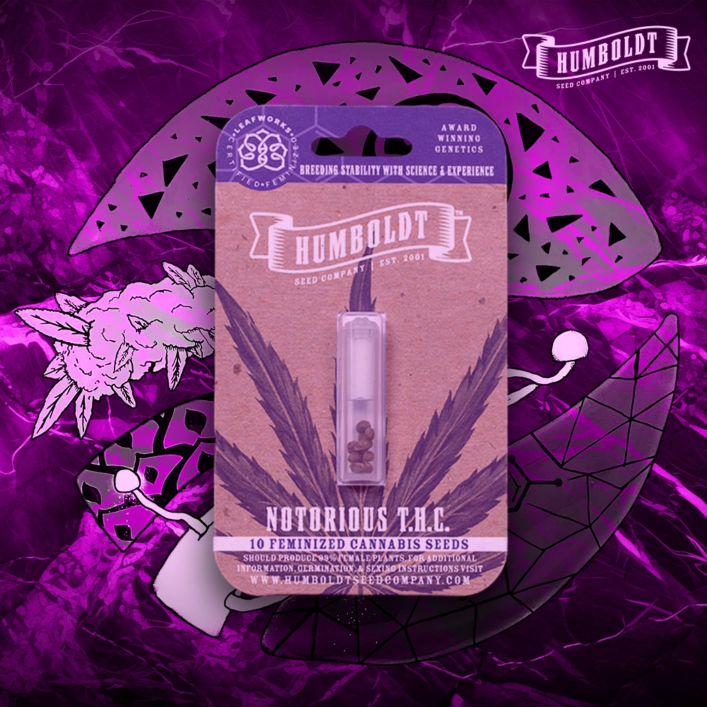 Humboldt Seed Company – Notorious THC