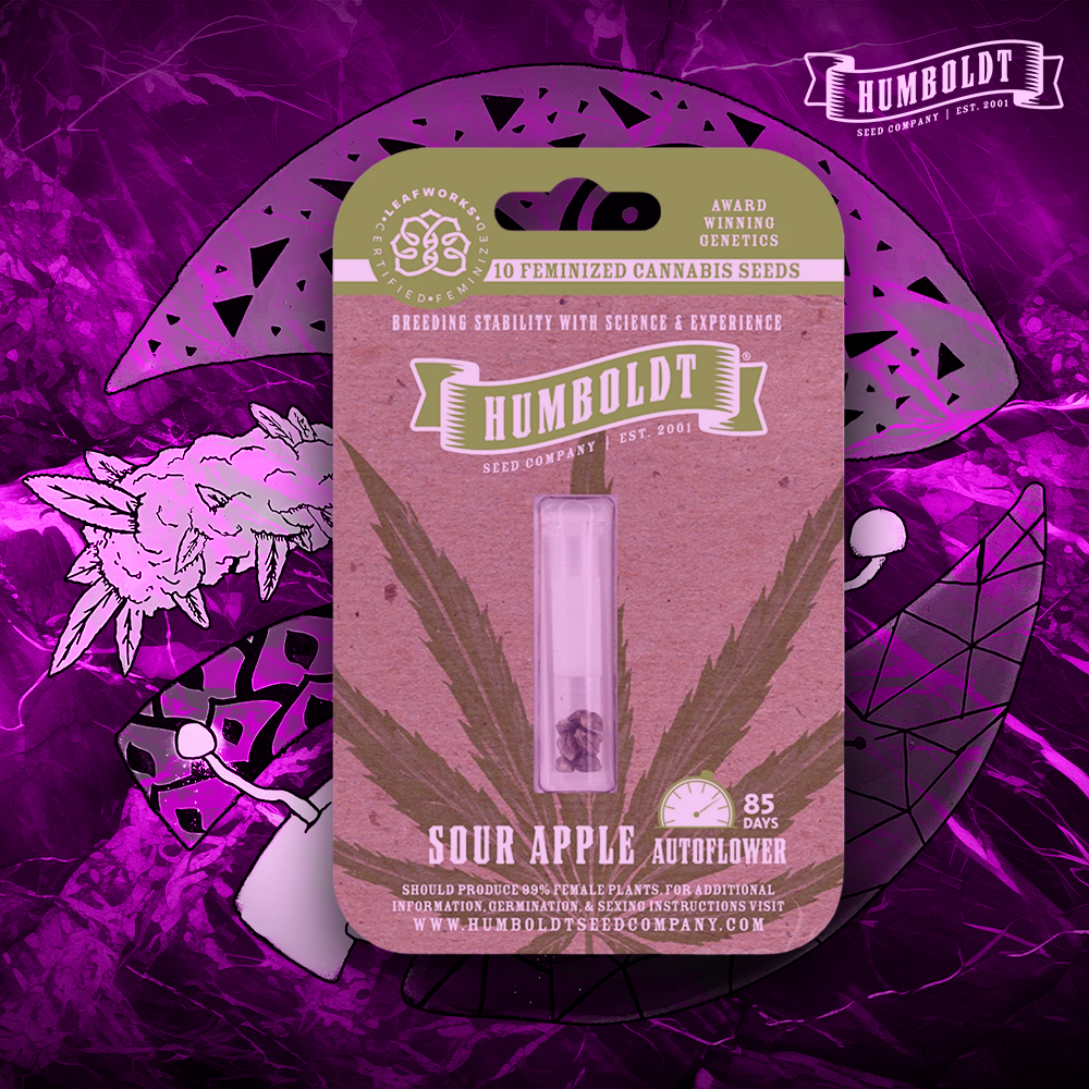 Humboldt Seed Company – Sour Apple Auto