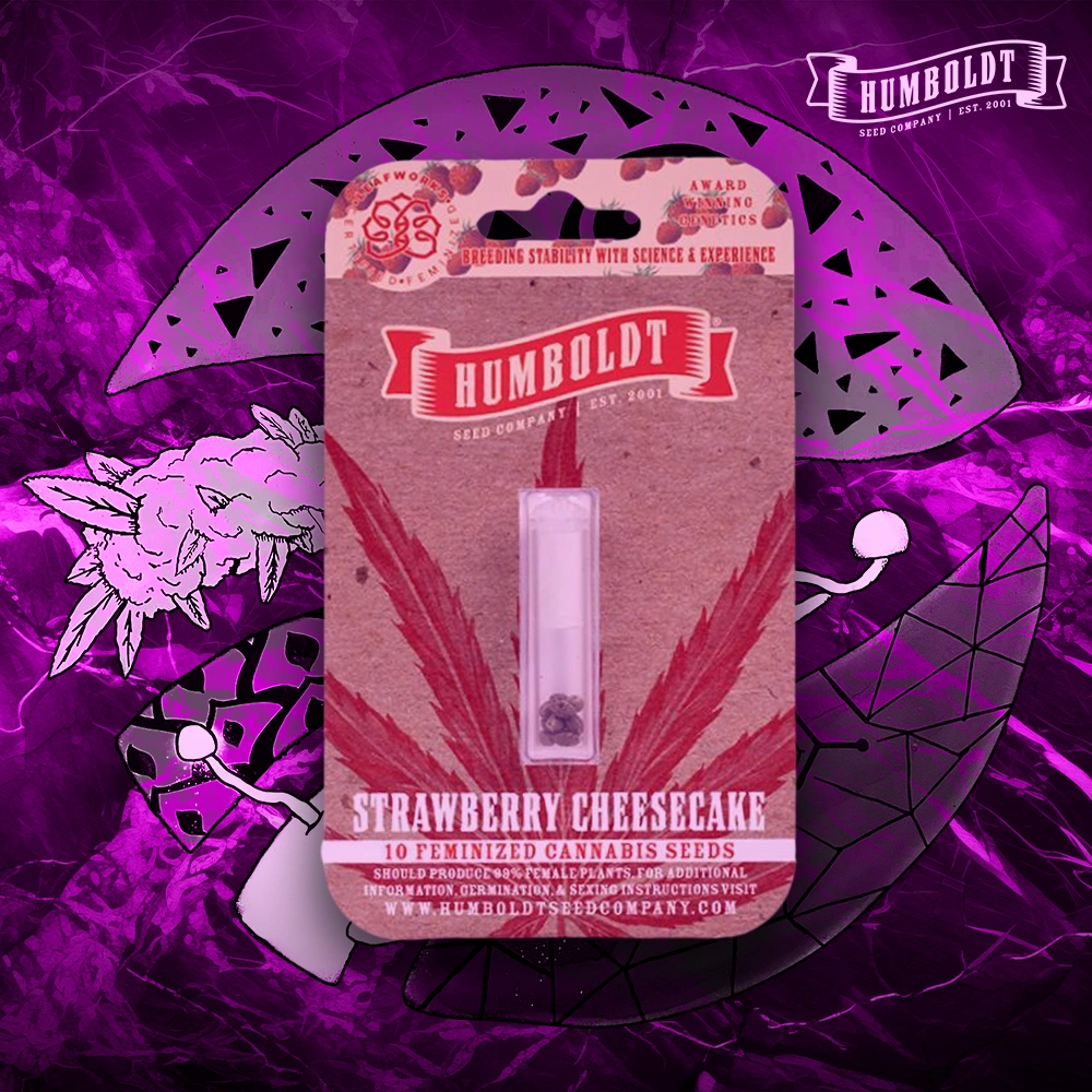 Humboldt Seed Company – Strawberry Cheesecake