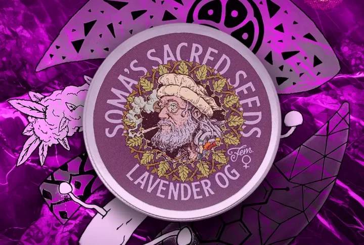 Soma's Sacred Seeds - Lavender OG
