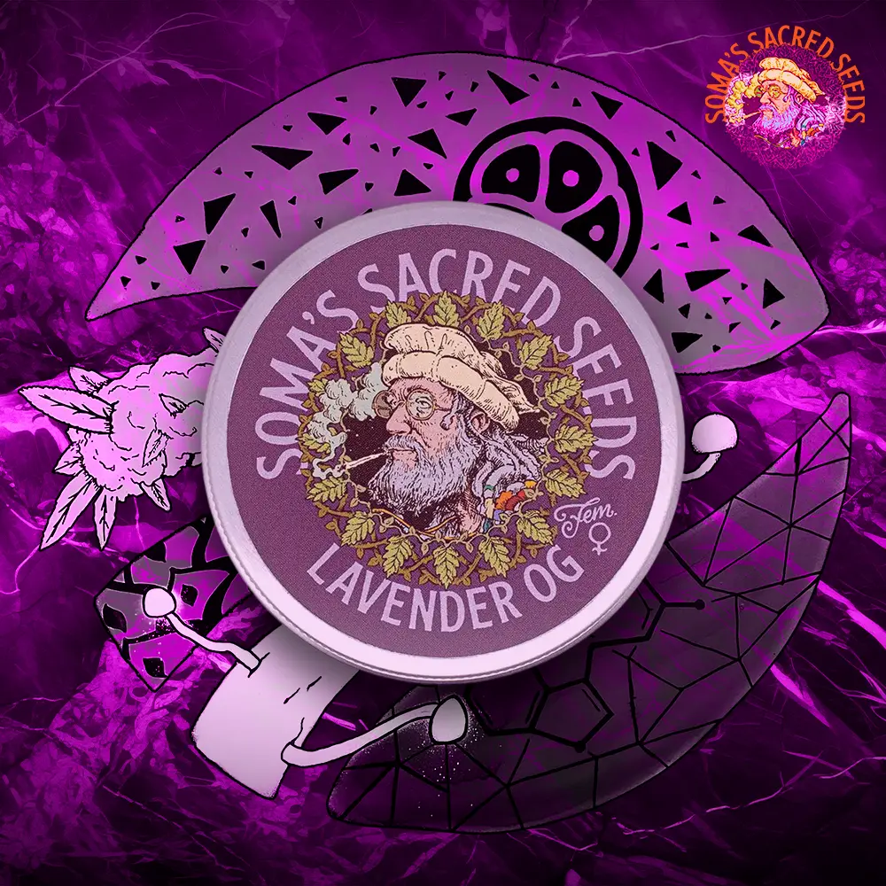Somas Sacred Seeds – Lavender OG