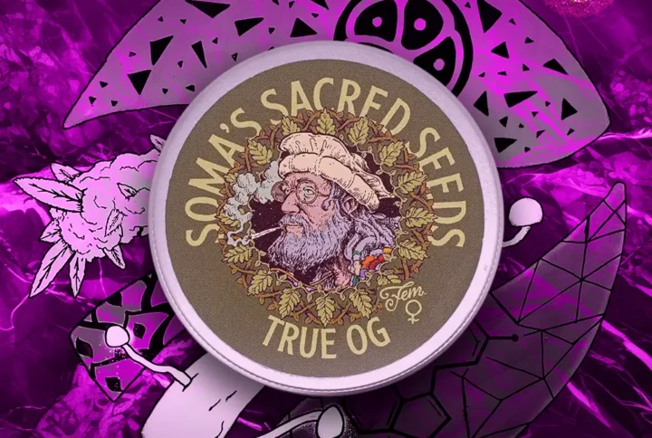 Soma's Sacred Seeds - True OG