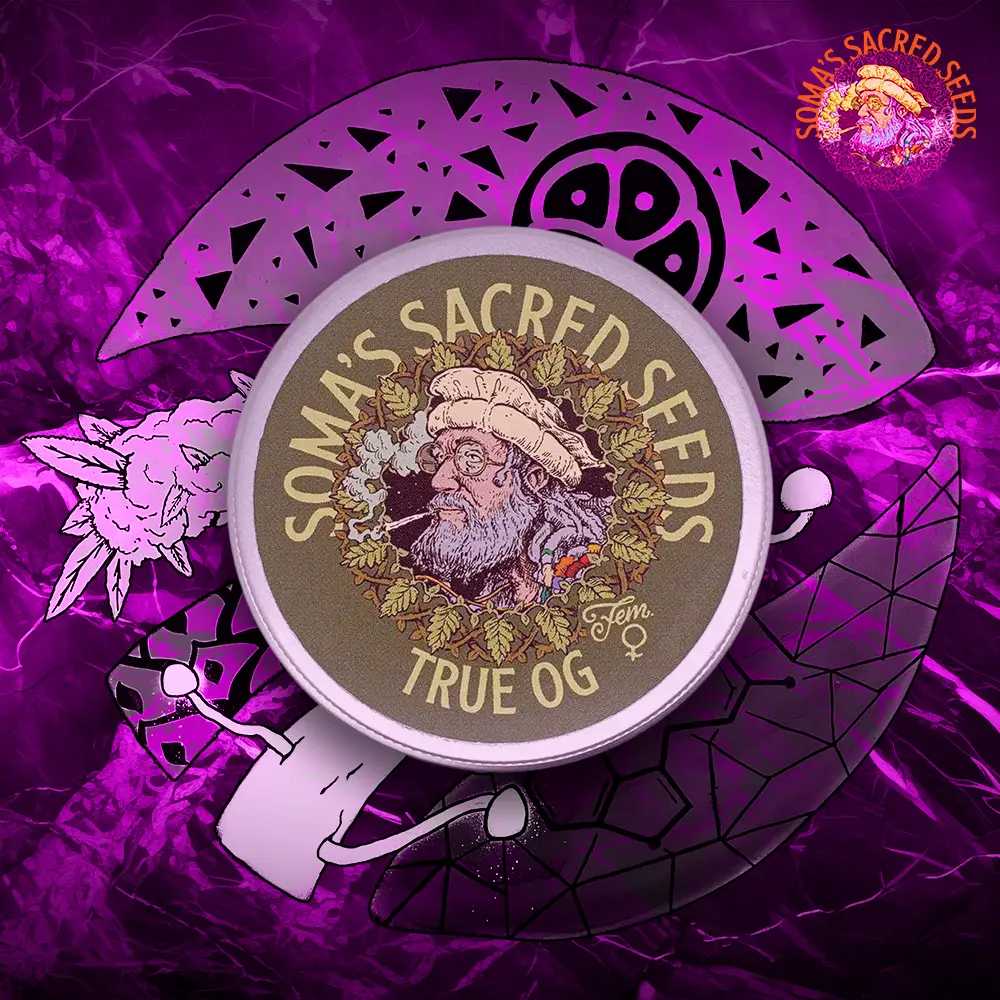 Somas Sacred Seeds – True OG