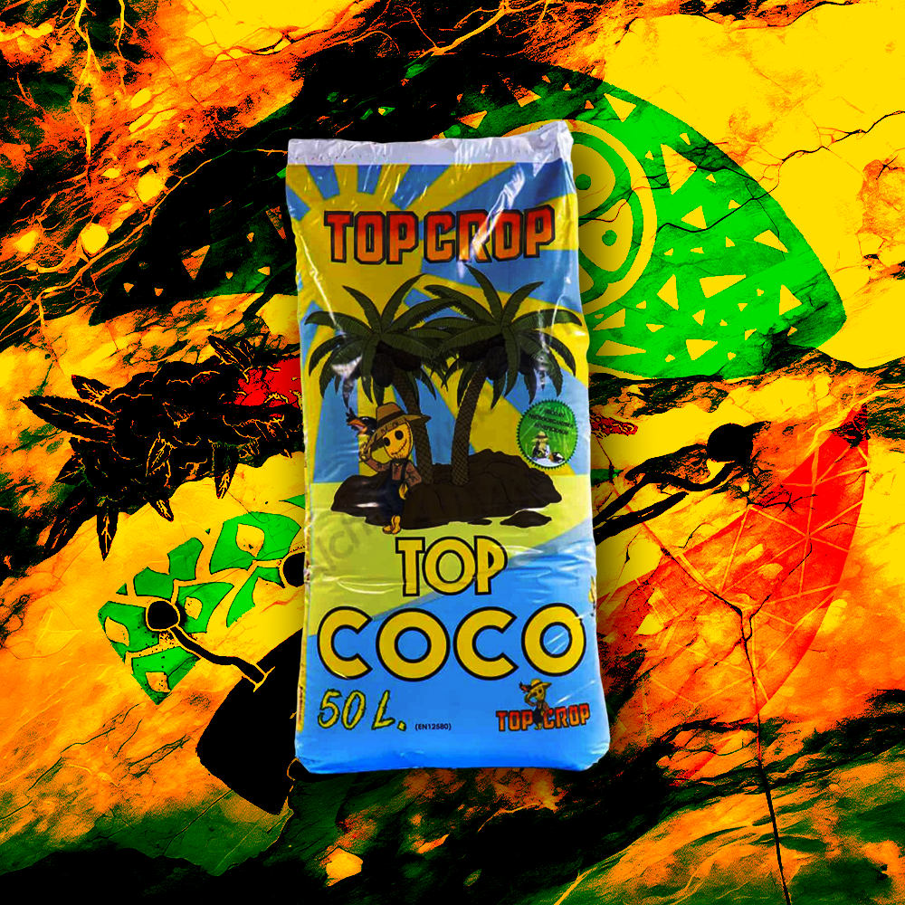 Top Crop – Top Coco