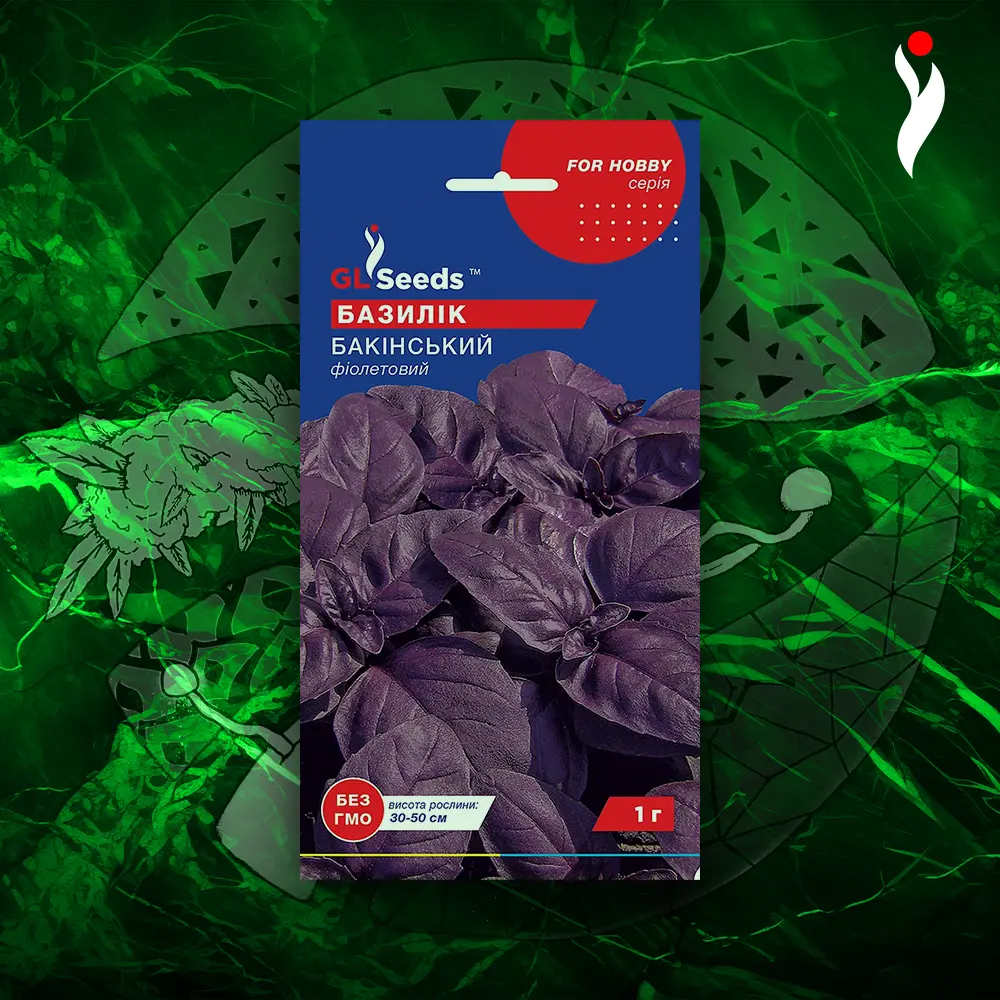 GL Seeds – Purple Basil