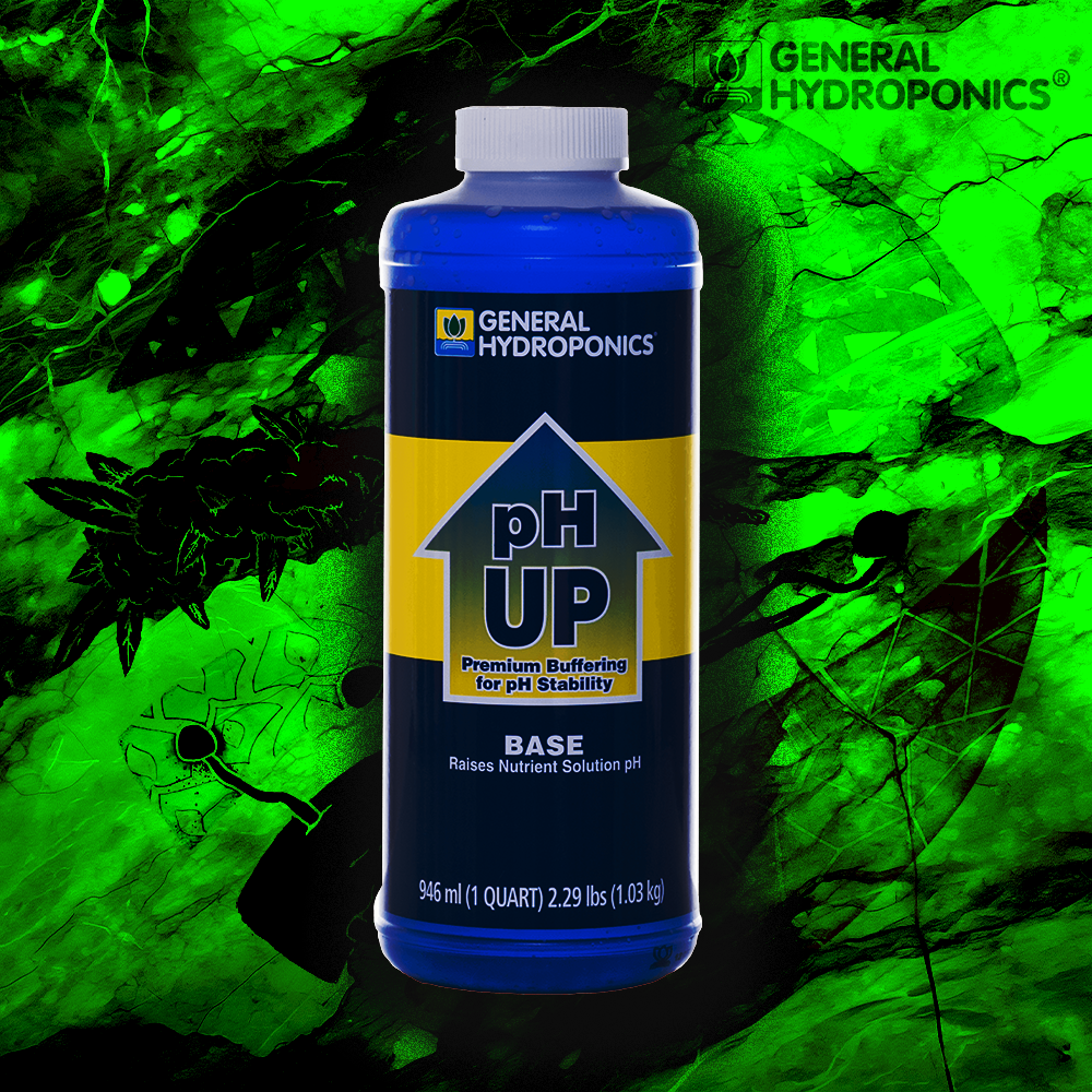 pH Up