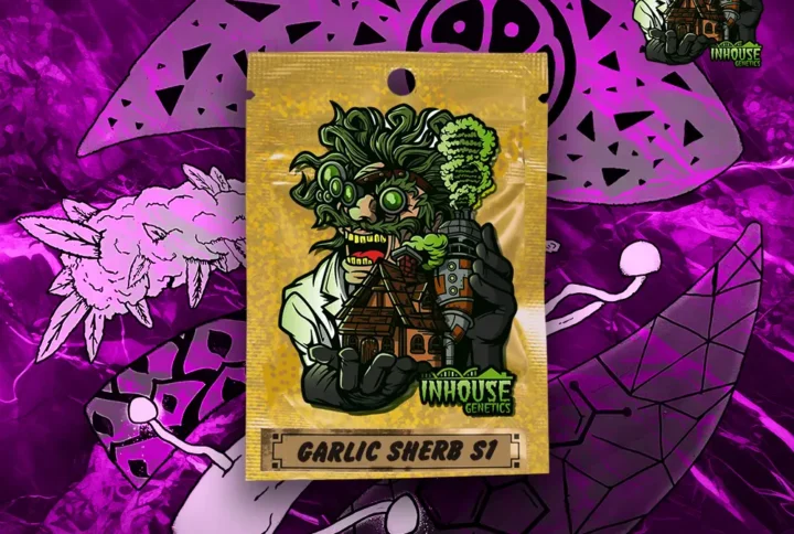 InHouse Genetics - Garlic Sherb S1