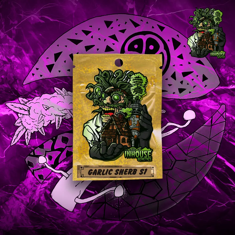 InHouse Genetics – Garlic Sherb S1