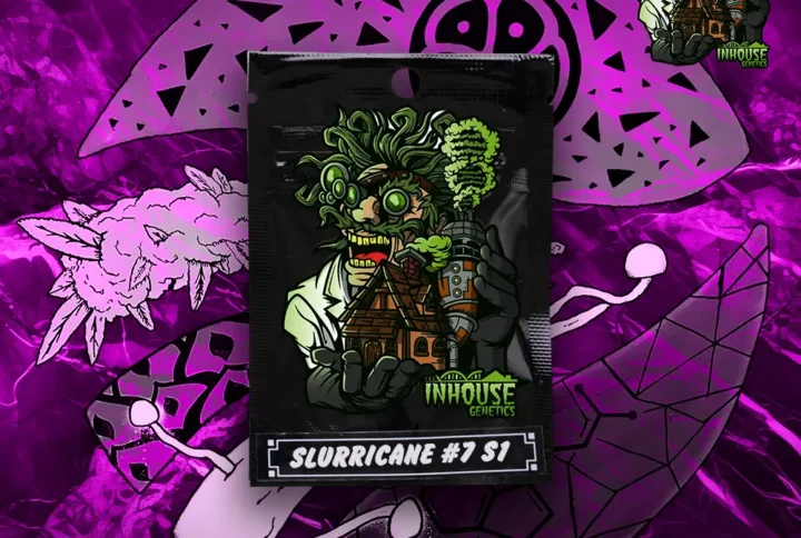InHouse Genetics - Slurricane #7 S1