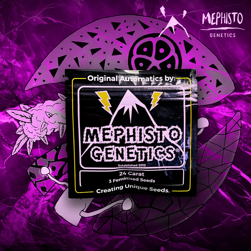 Mephisto Genetics – 24 Carat