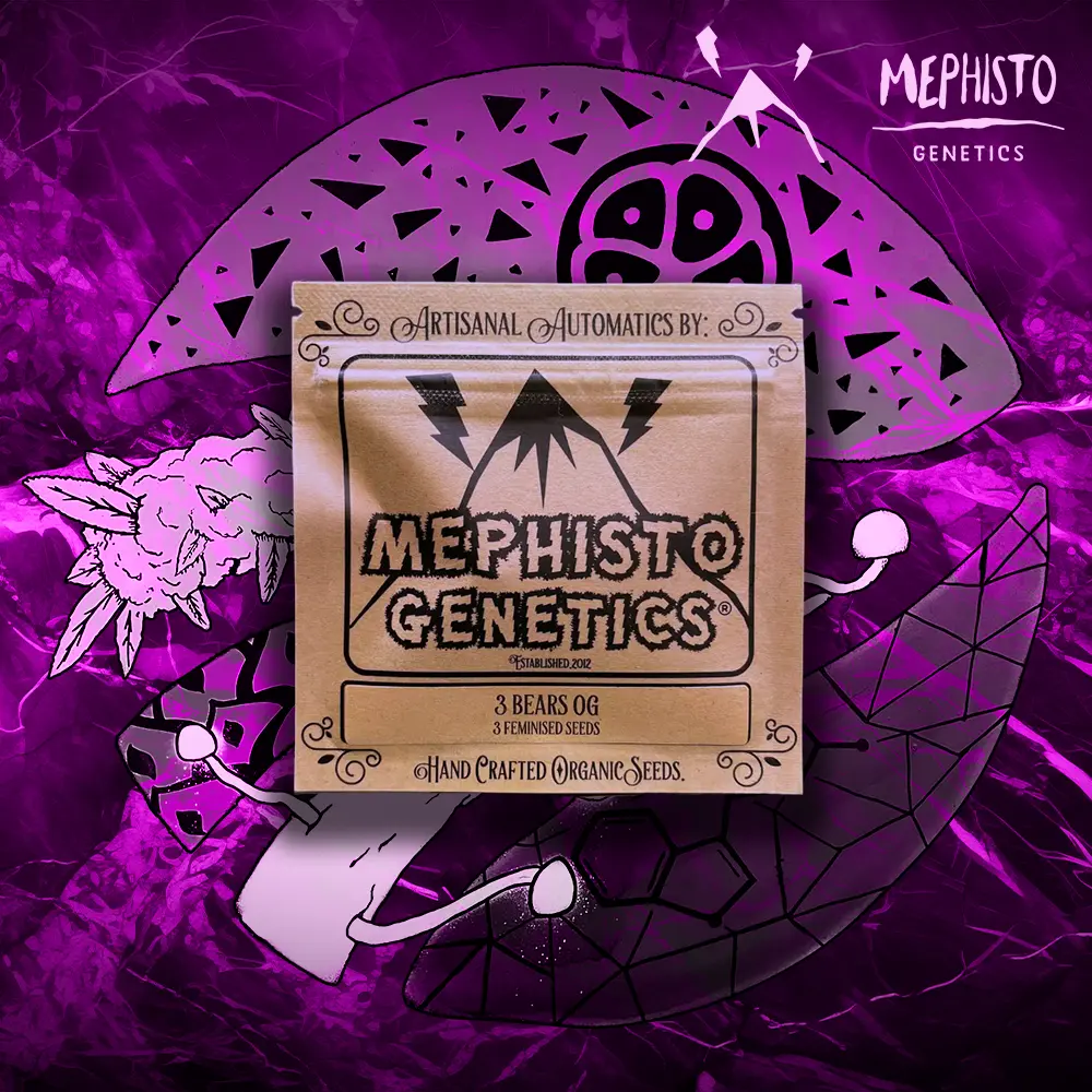Mephisto Genetics – 3 Bears OG