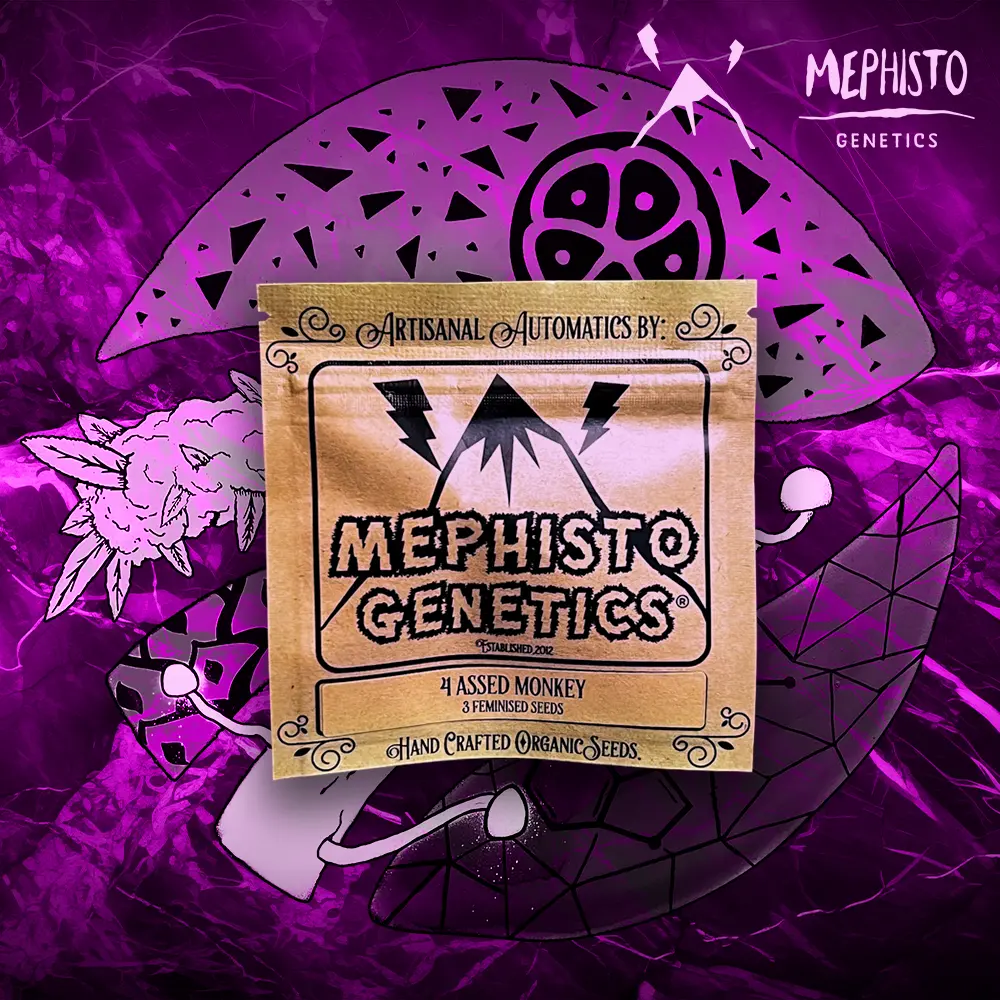 Mephisto Genetics – 4 Assed Monkey