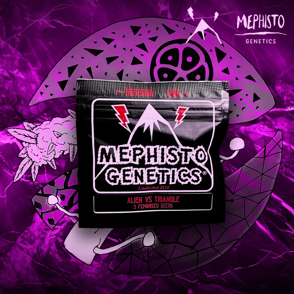 Mephisto Genetics – Alien vs Triangle