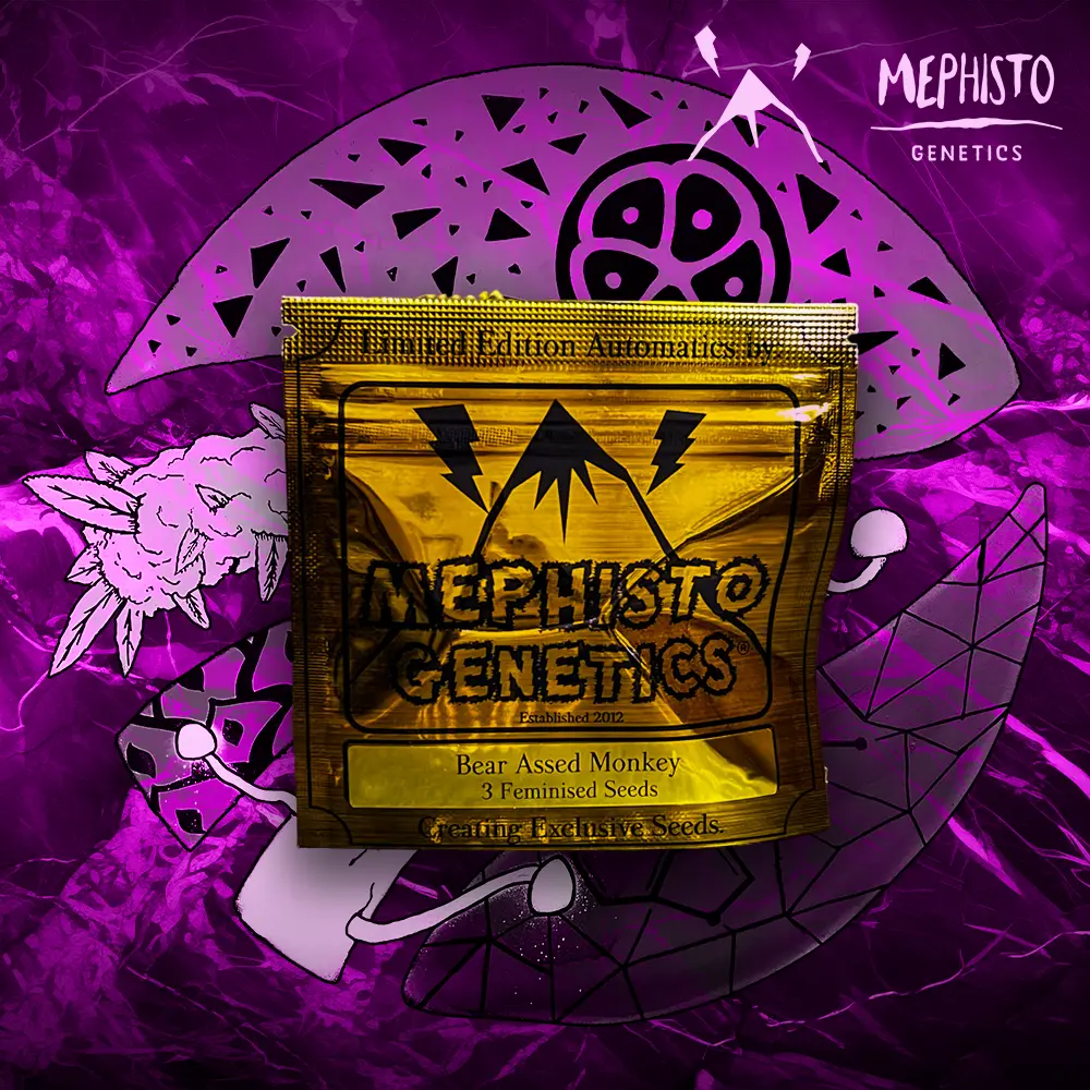 Mephisto Genetics – Bear Assed Monkey