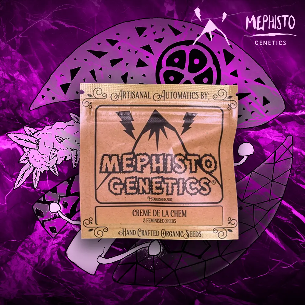 Mephisto Genetics – Creme De La Chem