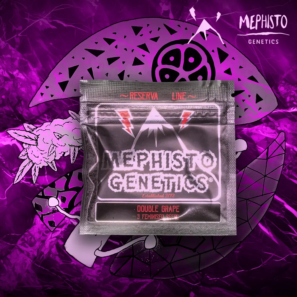 Mephisto Genetics – Double Grape