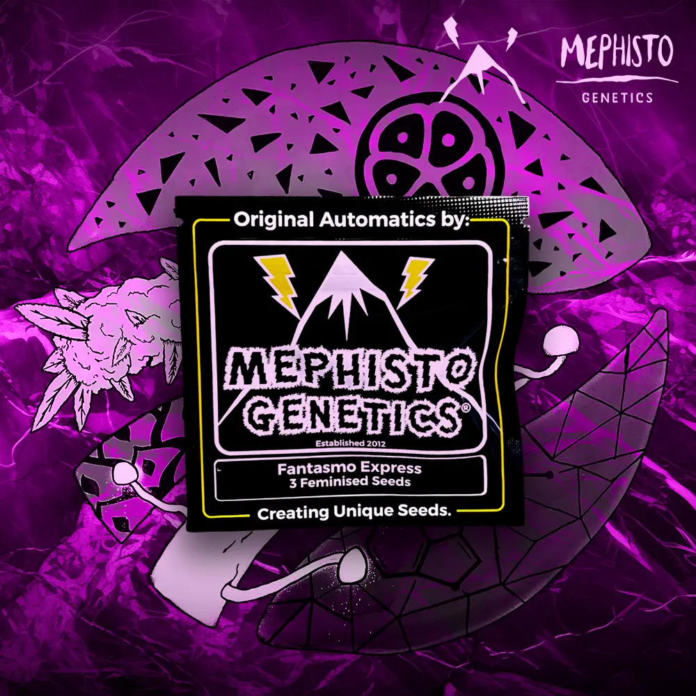 Mephisto Genetics – Fantasmo Express