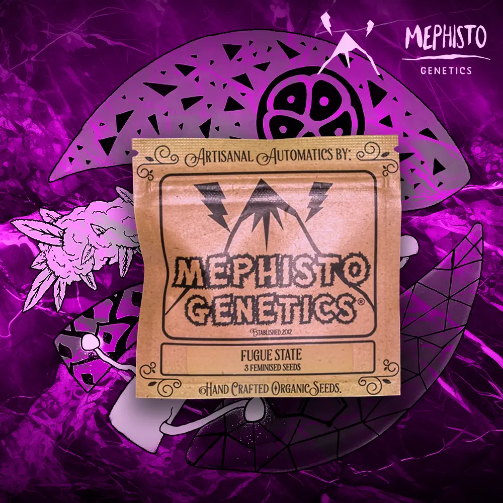Mephisto Genetics – Fugue State